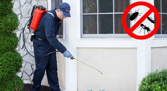 Döşemealtı Böcek ve Haşere İlaçlama böcek ilaçlama ve haşere kontrolü — ilaclama-tr.com